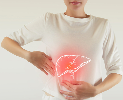 Small healthy liver